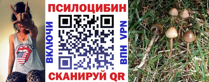 Галлюциногенные грибы Psilocybine cubensis  где купить наркотик  Ильский 